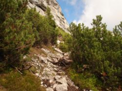 2013-10-08_Guffert (063).JPG